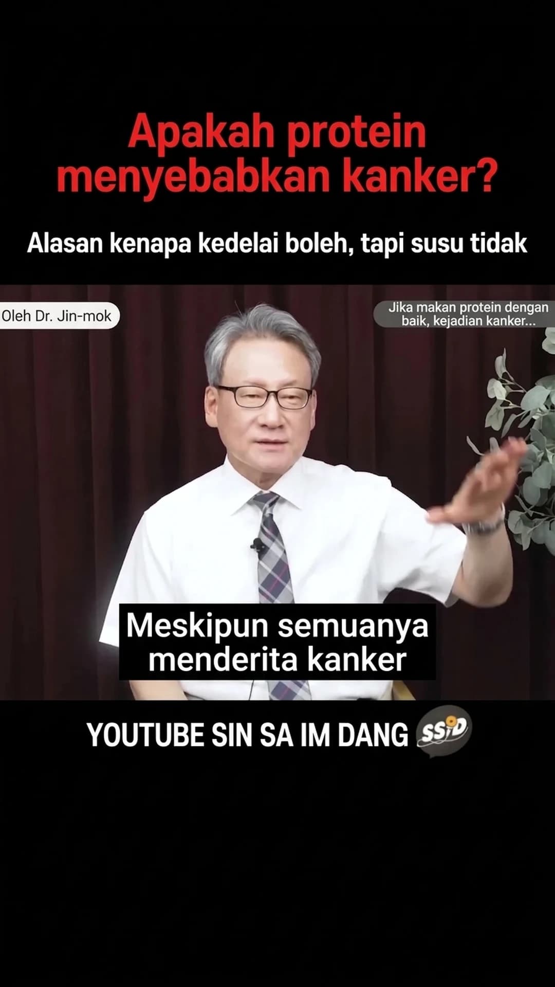 Shorts Shin Saimdang Storage (Health)