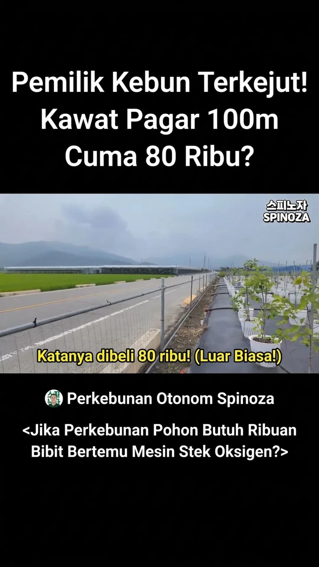 Shorts Spinoza's Unmanned Farm