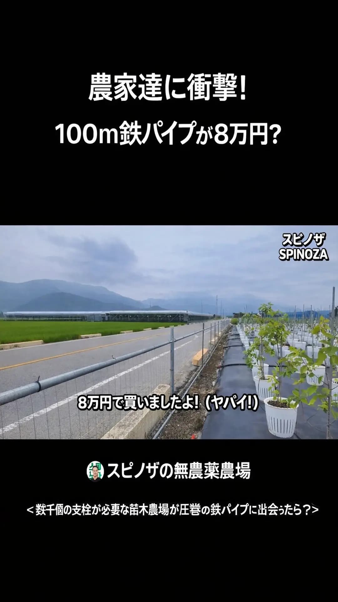 スピノザの無人農場さんのショート動画
