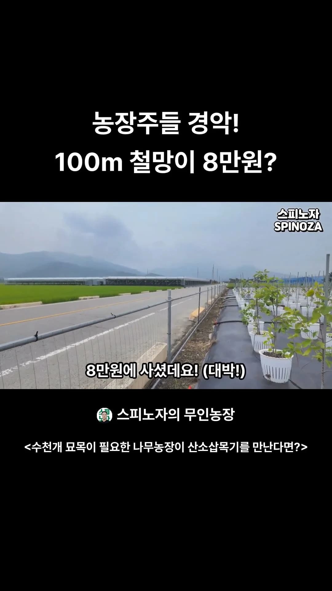 스피노자의 무인농장의 쇼츠